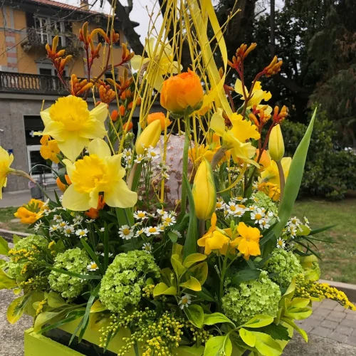 imageye___-_imgi_19_659015919_18224199274311866_6688648342663949305_n