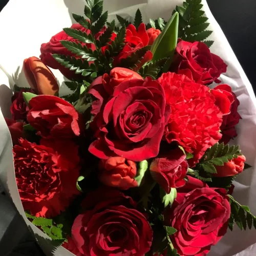 imageye___-_imgi_38_632489123_18218081581311866_390570942298325326_n