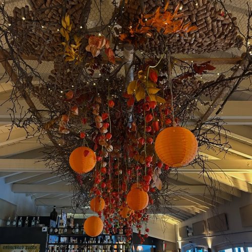 imageye___-_imgi_70_566678472_18204444688311866_1974591439043815902_n