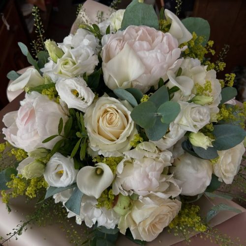 imageye___-_imgi_75_541224117_18199121701311866_5978778820279815793_n