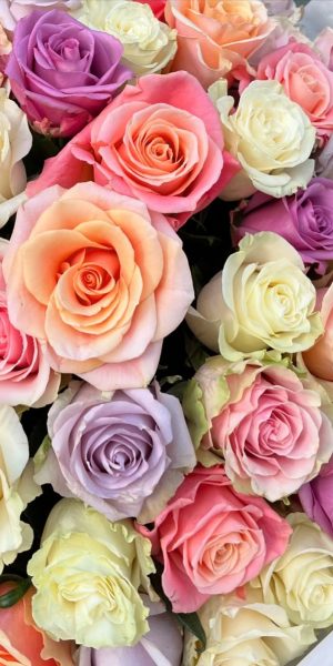 imageye___-_imgi_77_443713018_18151149577311866_2148176467415179171_n